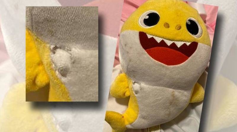 Мягкая игрушка-акула «приняла на себя» шальную пулю, которая влетела в спальню спящего ребенка