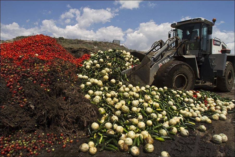 Россельхознадзор: С начала года в РФ уничтожили почти 7 тысяч тонн овощей и фруктов