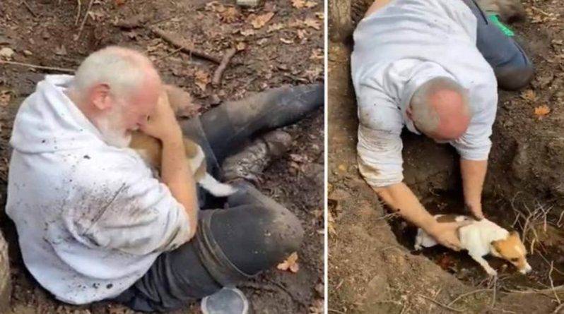Мужчина вне себя от радости, найдя свою собаку живой после 3 дней, проведенных в лисьей норе (видео)