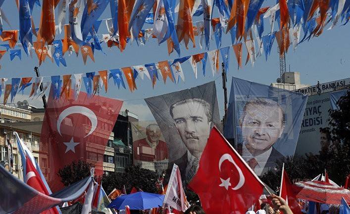 Американский политолог: проблемы делают Турцию сильнее (Anadolu)