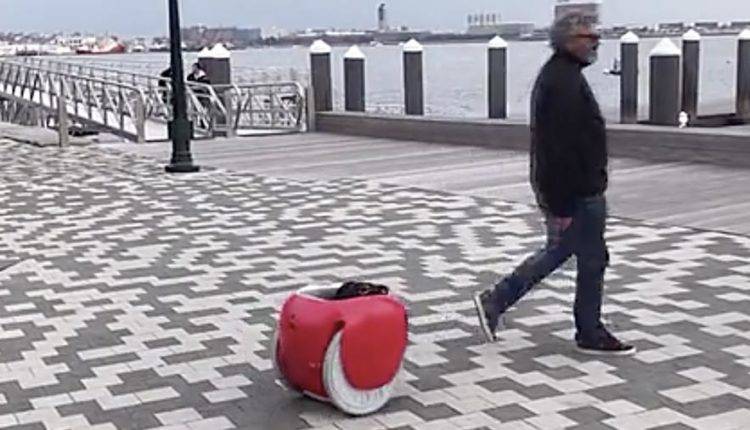 В США появился стимулирующий к пешим прогулкам багажный робот