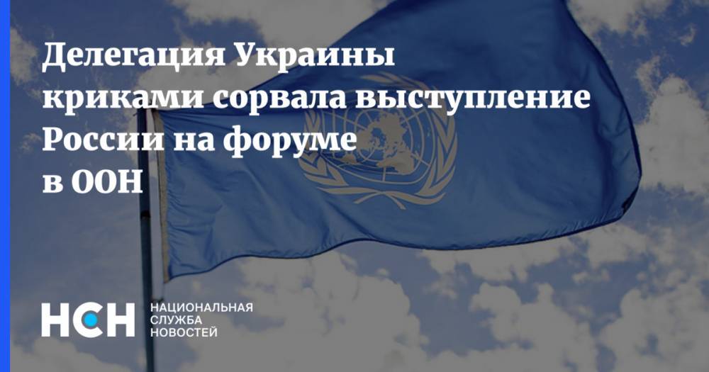 Делегация Украины криками сорвала выступление России на форуме в ООН