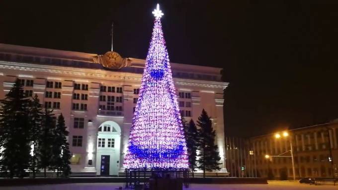 Мэр Кемерова объяснил покупку новогодней елки почти за 18 млн рублей