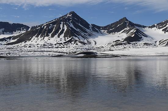 В МИДе оценили идею организации арктического саммита