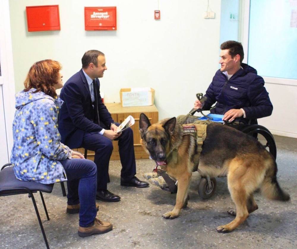 Петербургские депутаты поддержали идею приравнять собак-помощников к поводырям