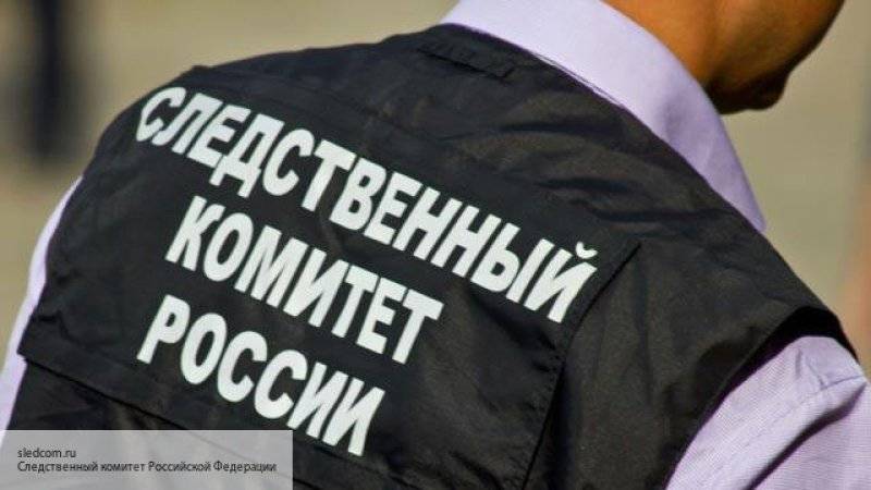 Обвинение просит арестовать участника незаконной акции в Москве Суровцева