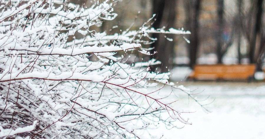 Зима в столице начнется с образования устойчивого снежного покрова