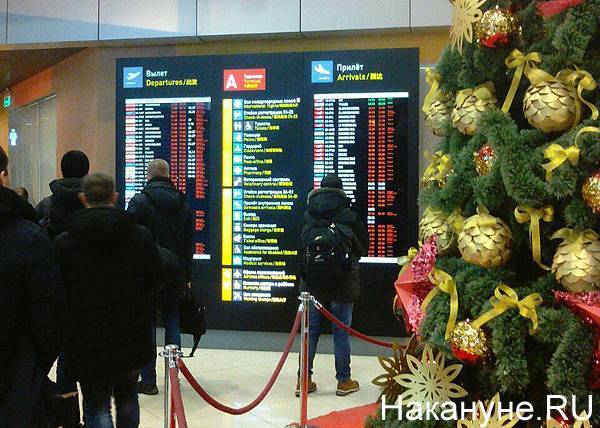 Названы самые популярные у россиян направления для новогодних путешествий