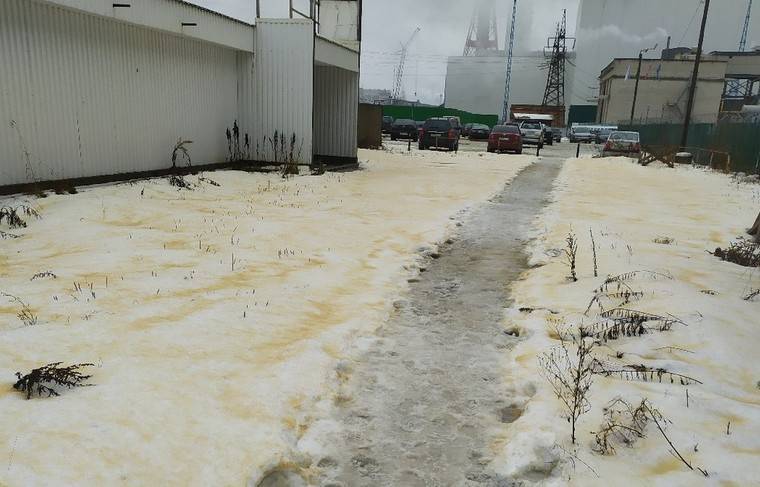 Карельские чиновники назвали причину выпадения жёлтого снега в Сегежи