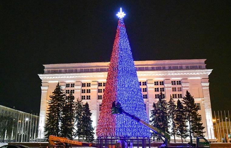 Сенатор похвалил новогоднюю ёлку за 18 миллионов рублей