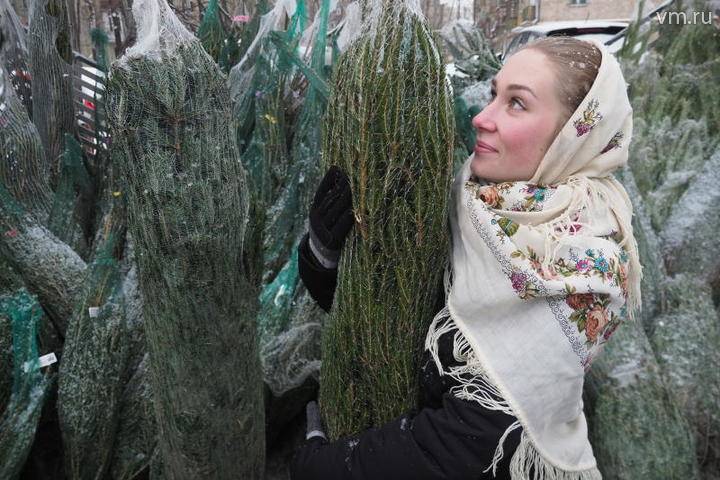 Более 400 елочных базаров заработают в Подмосковье к Новому году