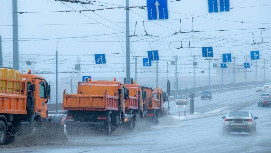 Росприроднадзор выступил против реагентов для очистки зимних дорог Петербурга