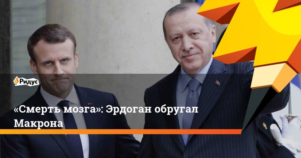 «Смерть мозга»: Эрдоган обругал Макрона