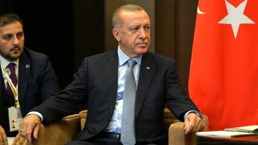 Эрдоган посоветовал Макрону «проверить мозг» после слов о НАТО