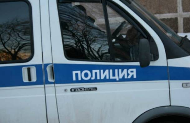 В Екатеринбурге коллектор похитил у женщины машину со спящим ребенком