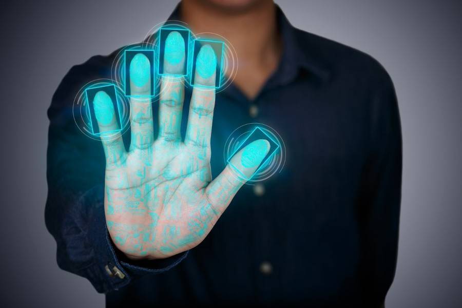 Отпечаток вен ладони может появиться в биометрической системе в 2020 году