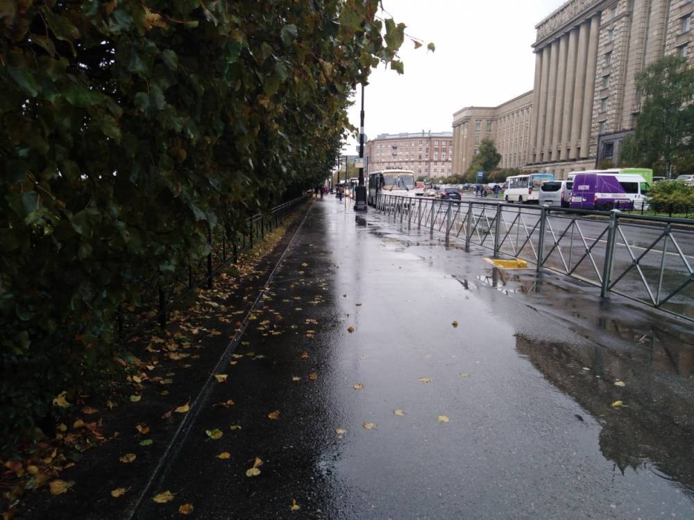 Петербуржцев 3 ноября ожидает облачная погода с дождем