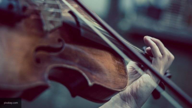 Забытая в поезде скрипка стоимостью более 20 млн рублей возвращена владельцу в Британии