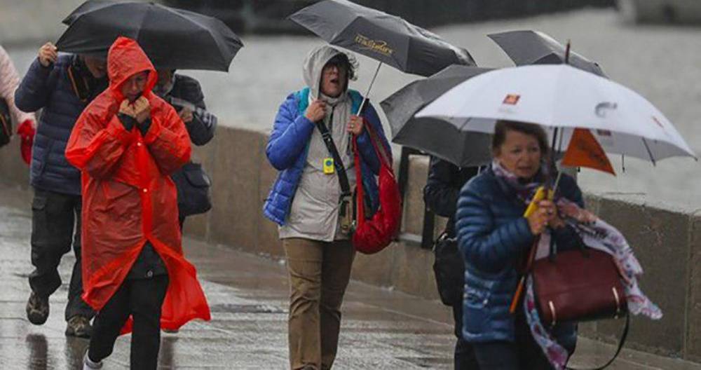 МЧС предупредило москвичей о сильном ветре в ближайшие сутки