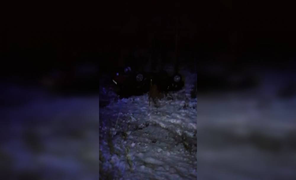 Водитель и пассажир «Лады» пострадали в аварии в Лодейнопольском районе Ленобласти