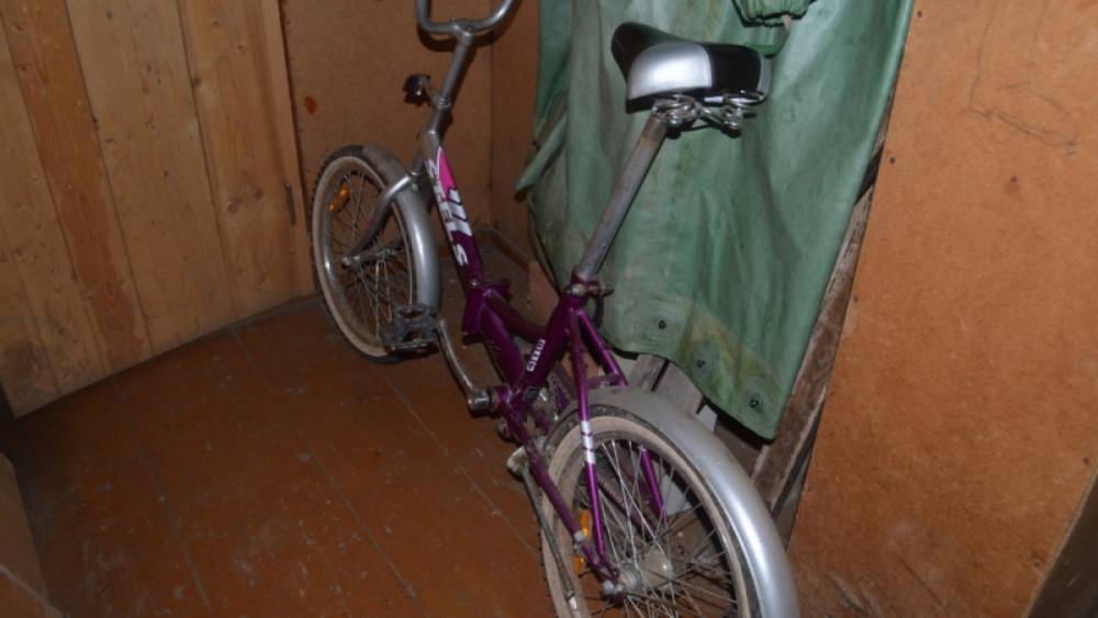 Недавно покинувший колонию новгородец похитил велосипед