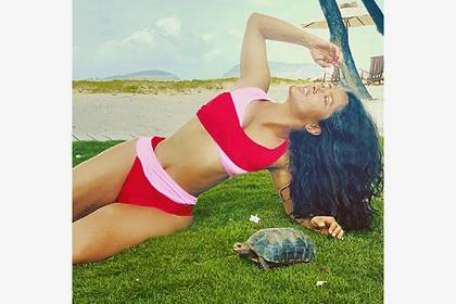 Сальма Хайек сфотографировалась в бикини с черепахой и озадачила подписчиков
