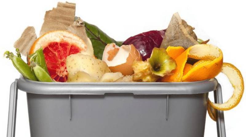 Правильная утилизация: что можно выбрасывать в контейнер для биоотходов?