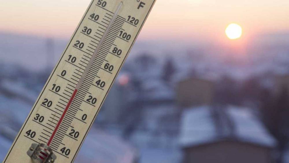 Гидрометцентр: 2019 год в России может стать самым жарким в истории