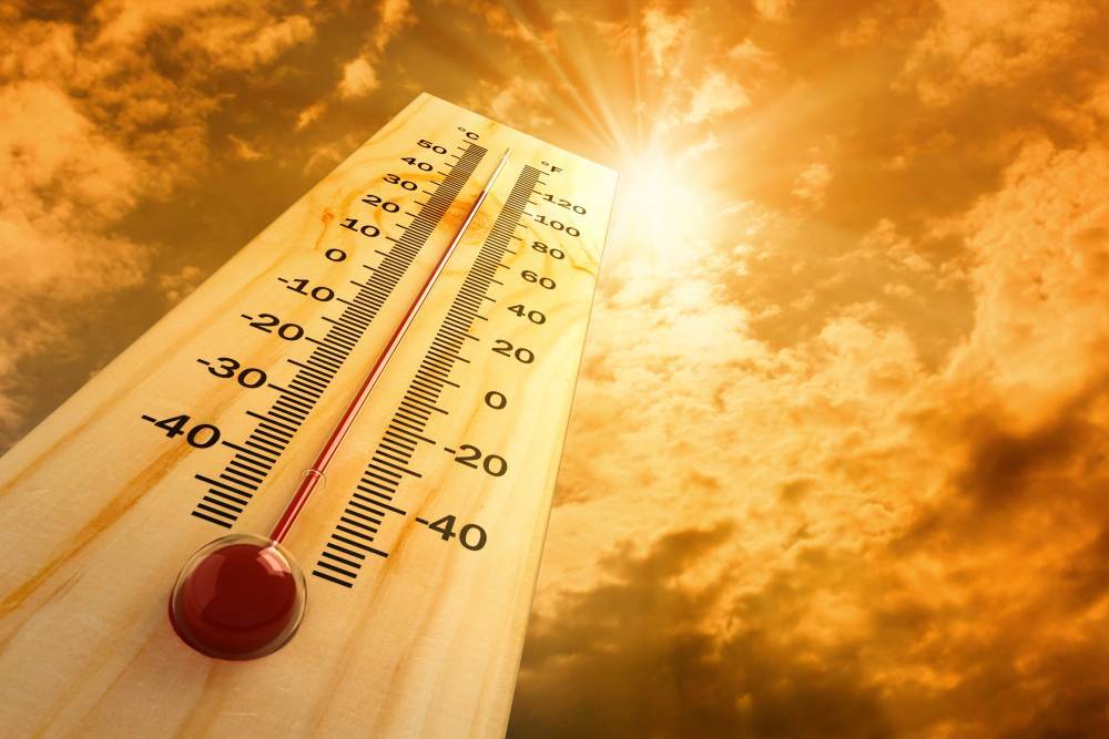 Текущий год в РФ может стать самым жарким в истории