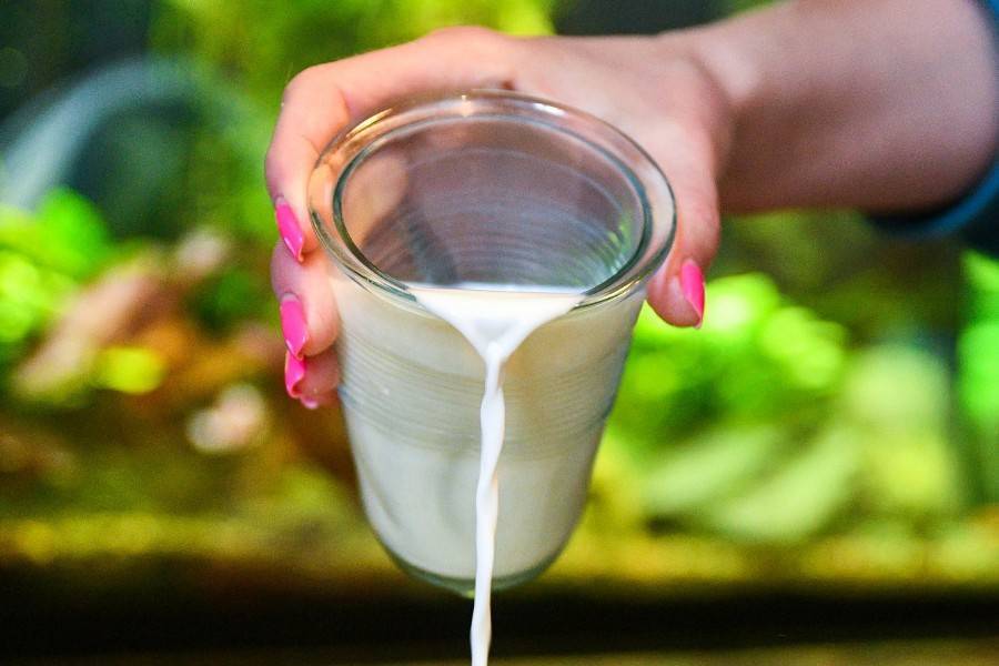 Молочный союз опроверг рост цен на молоко
