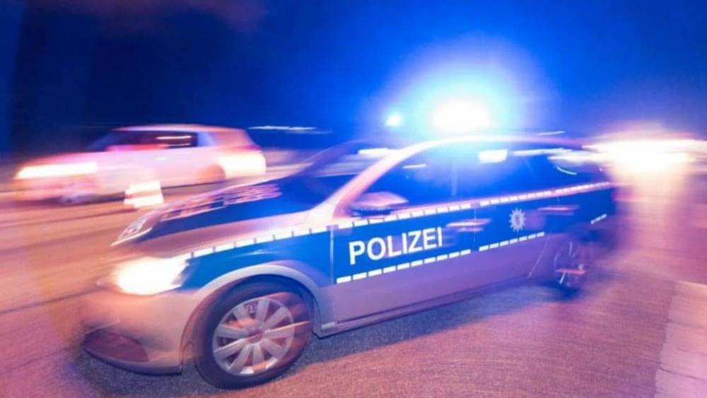 Рейнланд-Пфальц: полицейские застрелили мужчину с топором
