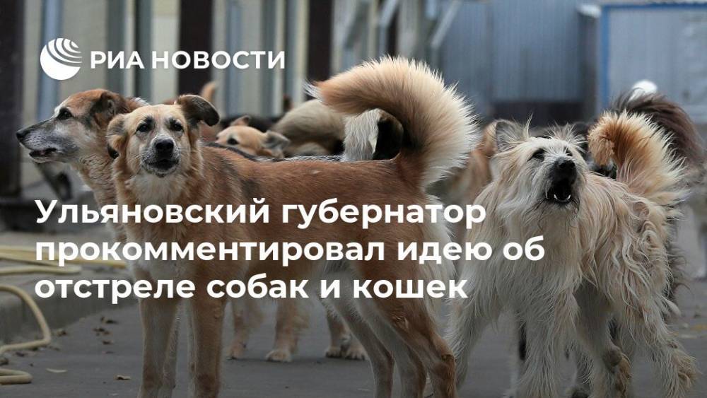 Ульяновский губернатор прокомментировал идею об отстреле собак и кошек