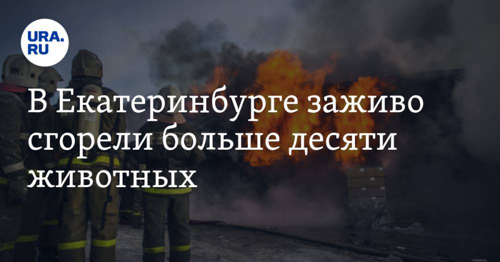 В Екатеринбурге заживо сгорели больше десяти животных. ФОТО
