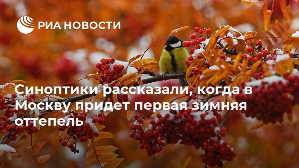 Синоптики рассказали, когда в Москву придет первая зимняя оттепель