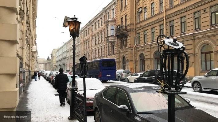Синоптик рассказал петербуржцам, какую погоду ожидать в Новый год