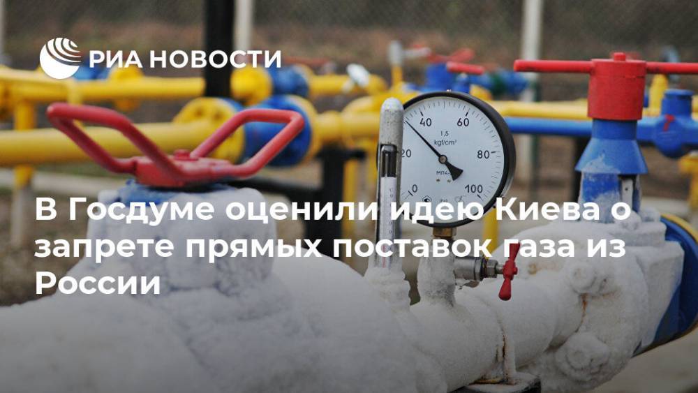 В Госдуме оценили идею Киева о запрете прямых поставок газа из России