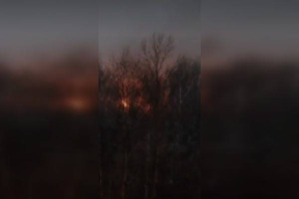 Один человек погиб в результате пожара на территории промзоны на востоке Москвы