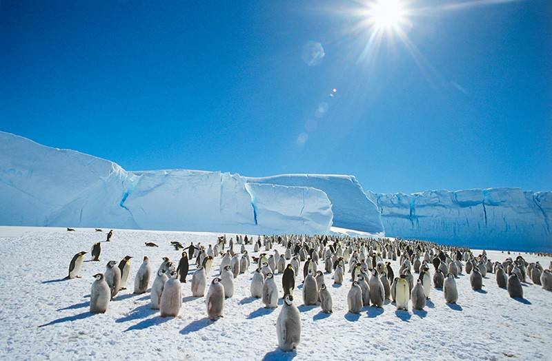 Кому принадлежит Антарктида?