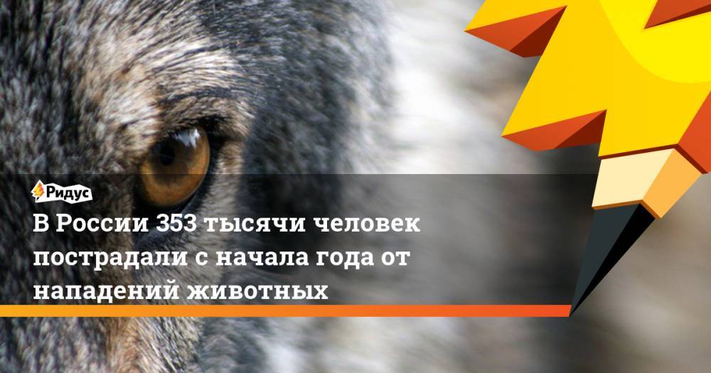 В России 353 тысячи человек пострадали с начала года от нападений животных