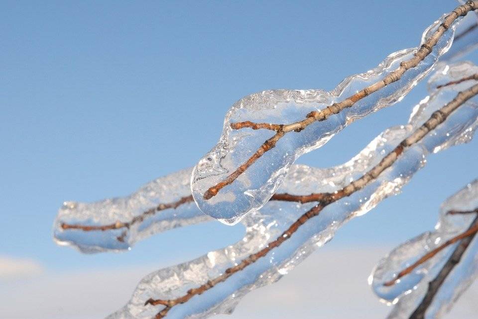 Гололед, шторм и ледяной дождь придут в Оренбург 1 декабря