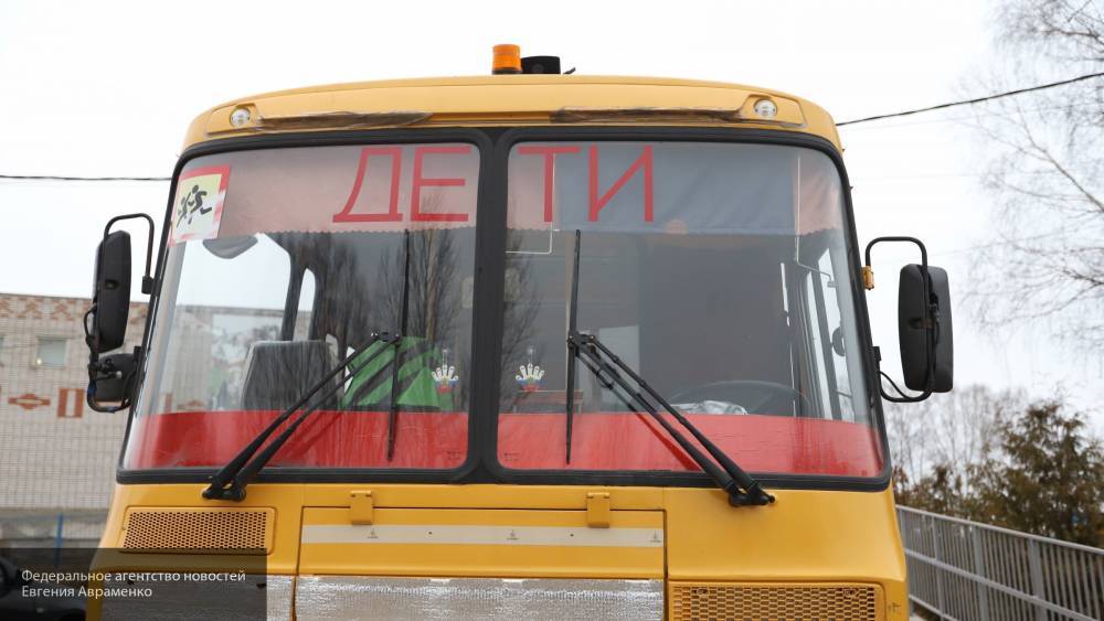 Жертвами ДТП со школьным автобусом под Новоржевом стали восемь детей
