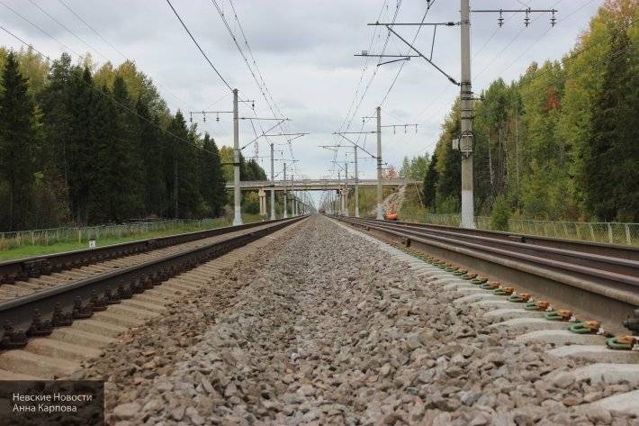 Российский конкурент&nbsp;Rail Baltica будет в двойне эффективнее