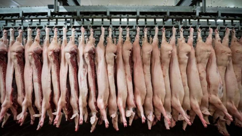 Почему в Германии существенно подорожает мясо, и как Китай связан с этим?