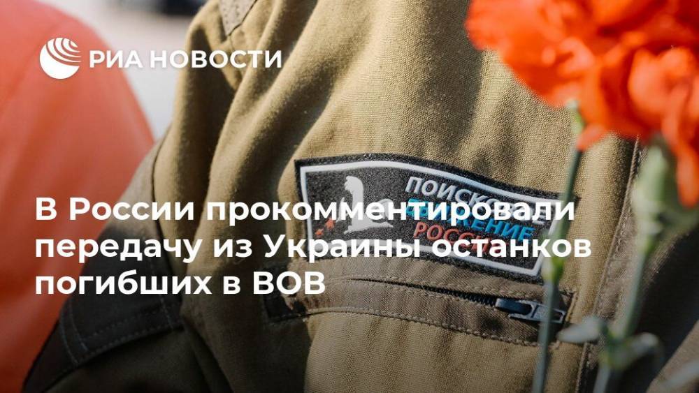 В России прокомментировали передачу из Украины останков погибших в ВОВ