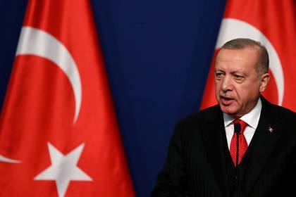 Эрдоган назвал дату запуска «Турецкого потока»