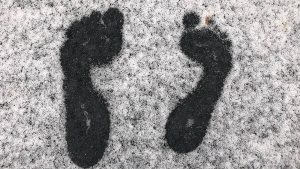 В Ленобласти в первый день зимы пройдет снегопад
