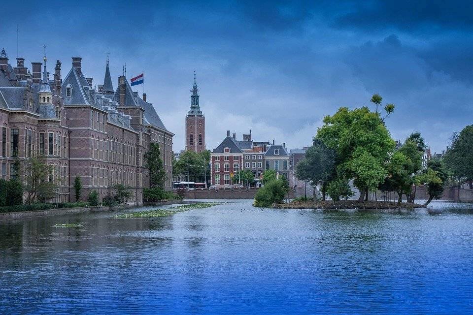 Полиция Нидерландов задержала подозреваемого в нападении в Гааге