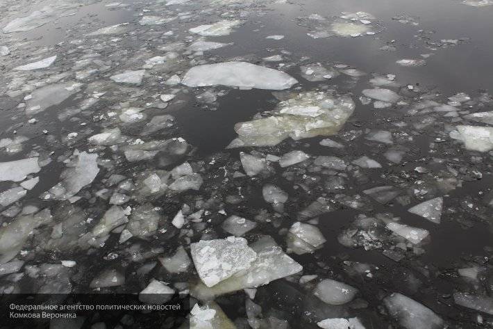 Бездыханное тело младенца обнаружили в замерзшей реке недалеко от Саратова
