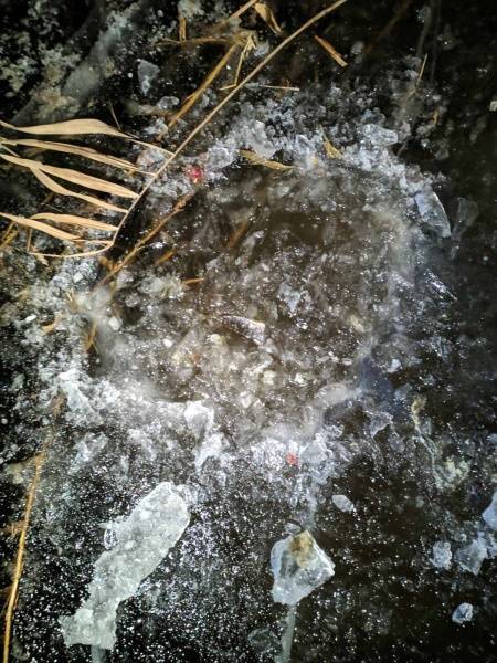 В Саратовской области дети нашли вмерзшее в лед водоема тело новорожденной девочки