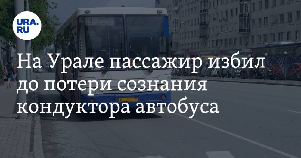 На Урале пассажир избил до потери сознания кондуктора автобуса. ФОТО
